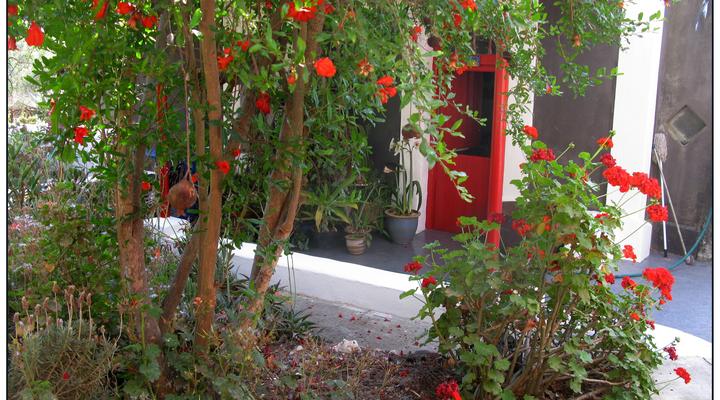 Kruisrivier Gallery Apartment