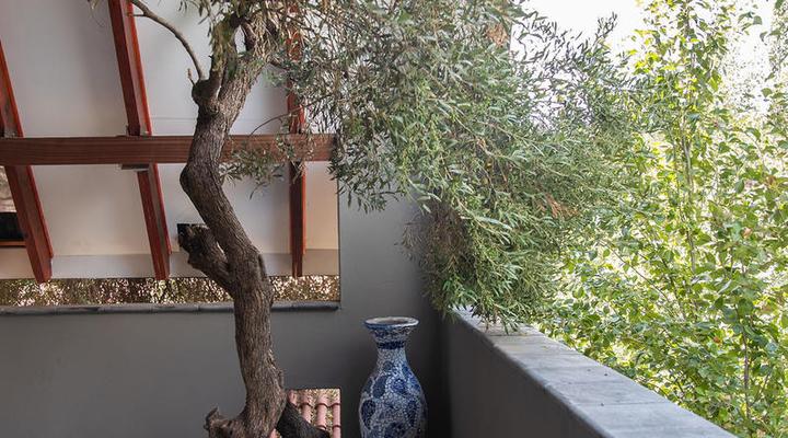 Bella Blue Guesthouse