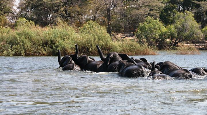 Kabula Lodge Western Zambia
