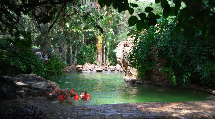 Leopard Lodge & The Cubs