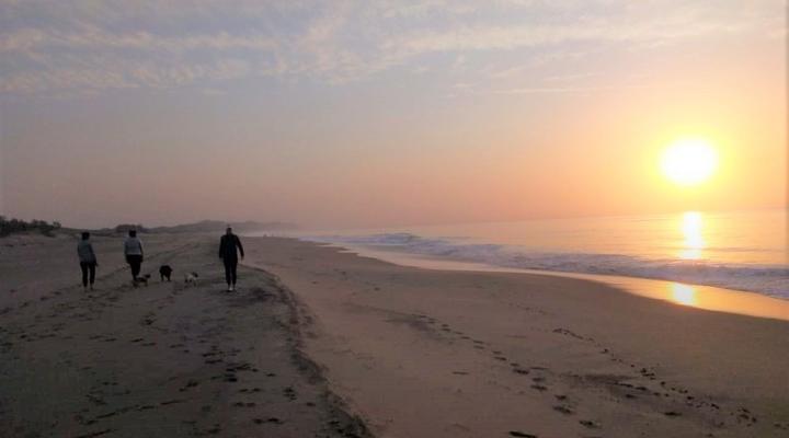 St Lucia Wilds Flatlet