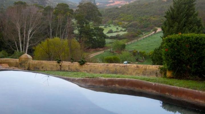 Porcupine Hills Guest Farm