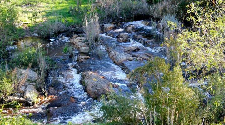 Porcupine Hills Guest Farm
