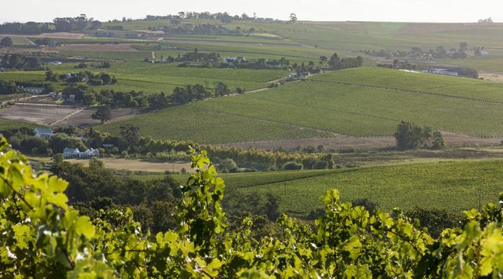 Sanddrif Stellenbosch Guest Farm