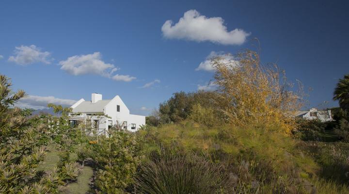 Sanddrif Stellenbosch Guest Farm