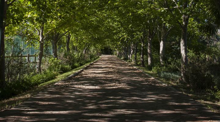 Sanddrif Stellenbosch Guest Farm