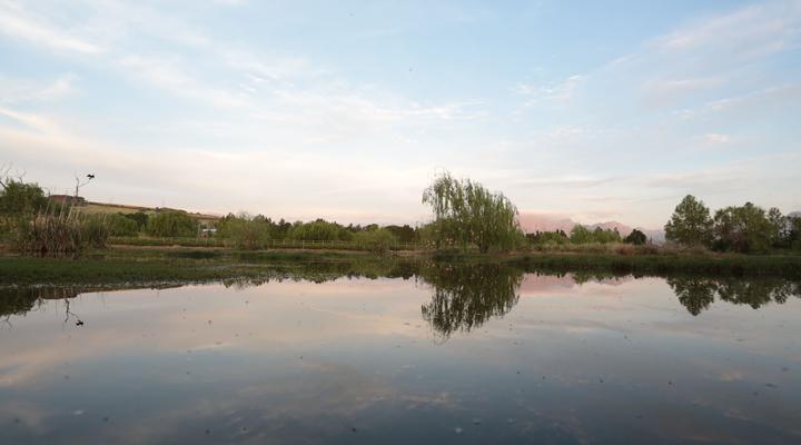 Sanddrif Stellenbosch Guest Farm