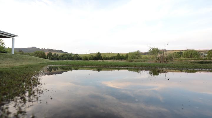 Sanddrif Stellenbosch Guest Farm