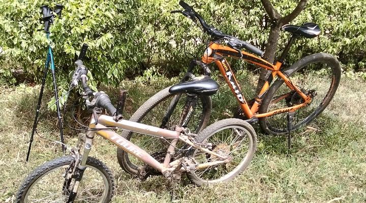 The Great Circle Lodge