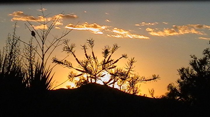 Lovedale Farm Holidays