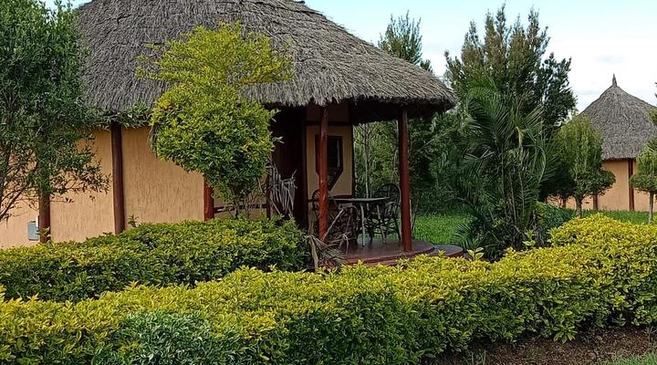 The Great Circle Lodge