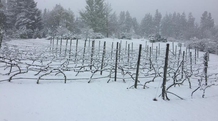 Windrush on Hogsback