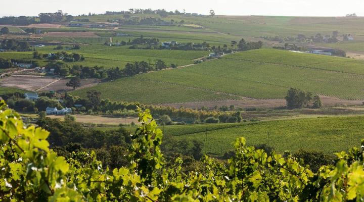 Sanddrif Stellenbosch Guest Farm