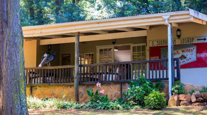 Lavender Trout Guest Farm