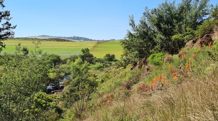 Otters Den Self-catering Cottages