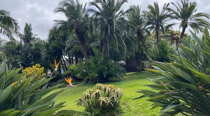 The Lookout Guesthouse