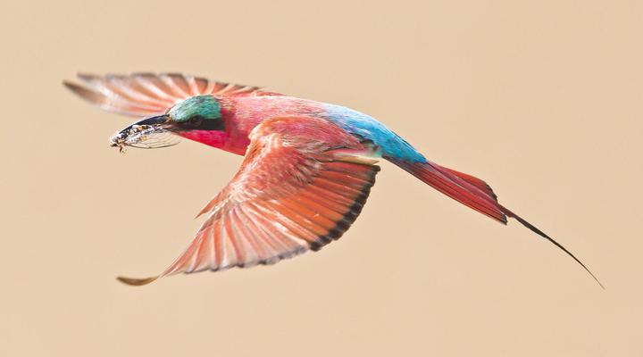 Caprivi Mutoya Lodge & Campsite