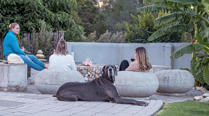 A Riverbed Guesthouse