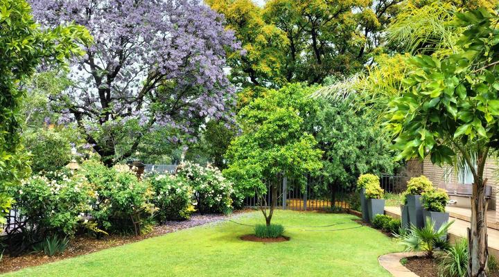 Park Living Guesthouse