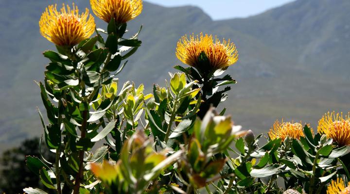 AfriCamps at Stanford Hills