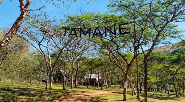 Tamane Bush Camp