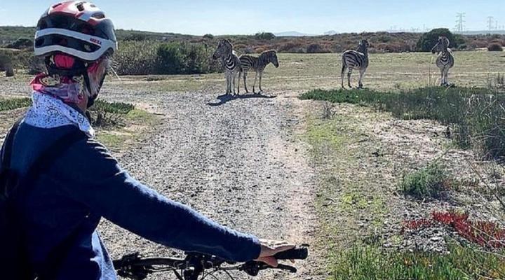 Tradewinds Guest House