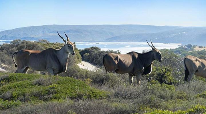 Tradewinds Guest House