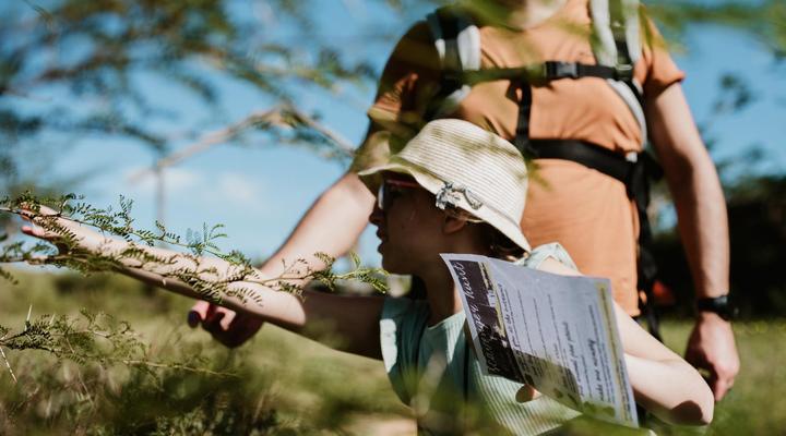 AfriCamps at Kam'Bati