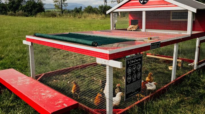 AfriCamps at Oakhurst