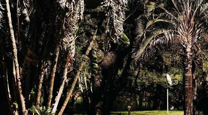 Makoppas Nest River Lodge