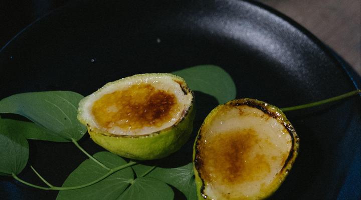 Mountain Peak Game Lodge