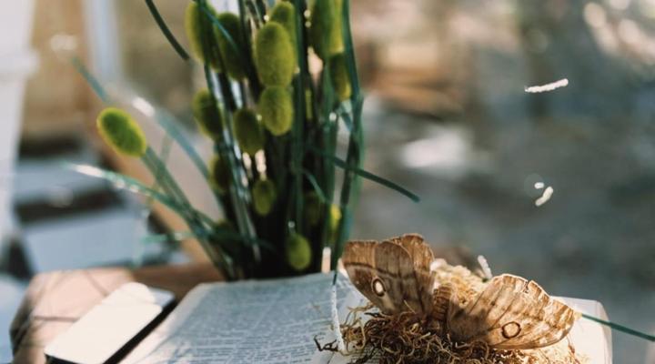 11 Mountain Stream Hot Tub Accommodation