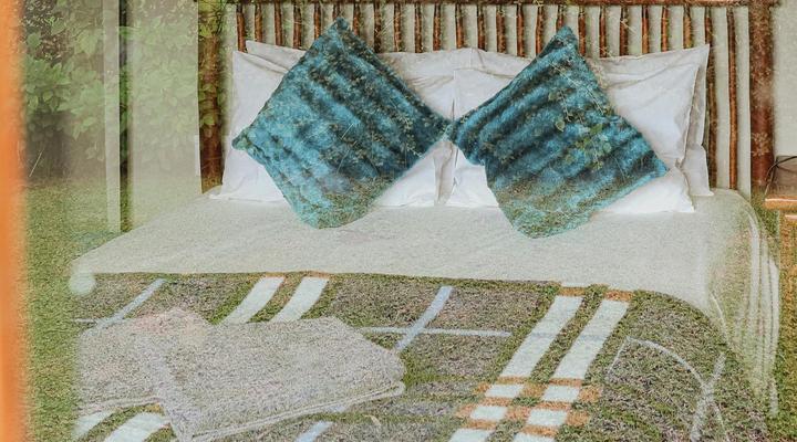 Cicada Self Catering Cottage