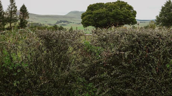 Cicada Self Catering Cottage