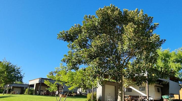 Excelsior Guest farm & Venue