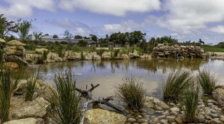 Dunkes Organic Equestrian Estate