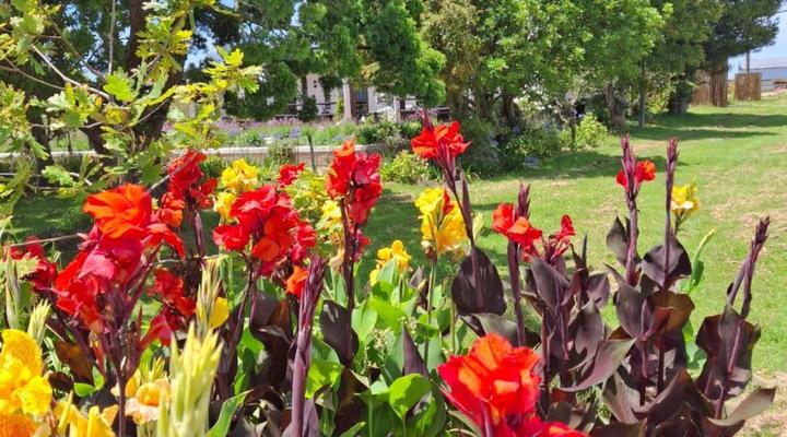 Dunkes Organic Equestrian Estate