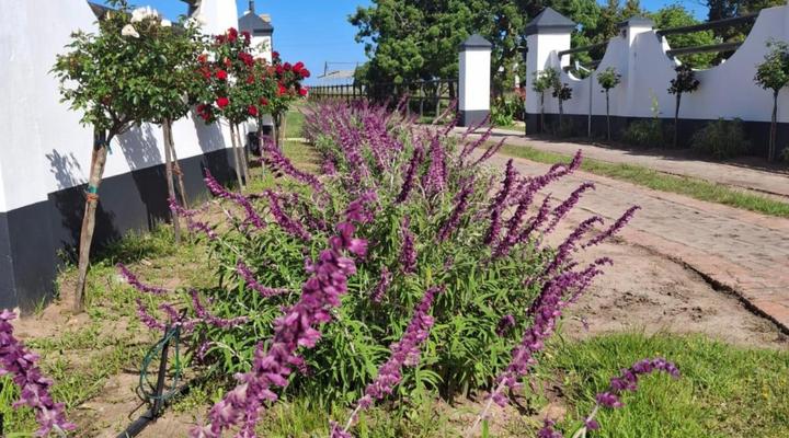 Dunkes Organic Equestrian Estate