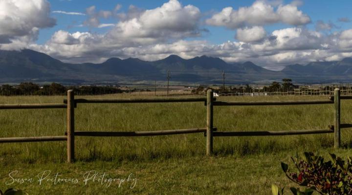 Dunkes Organic Equestrian Estate