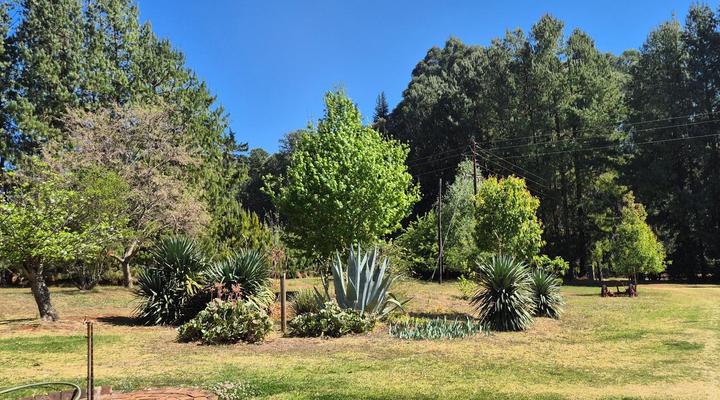 Apple Blossom Cottage