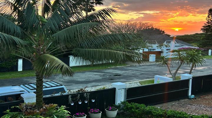 Tree Aloe Guest House