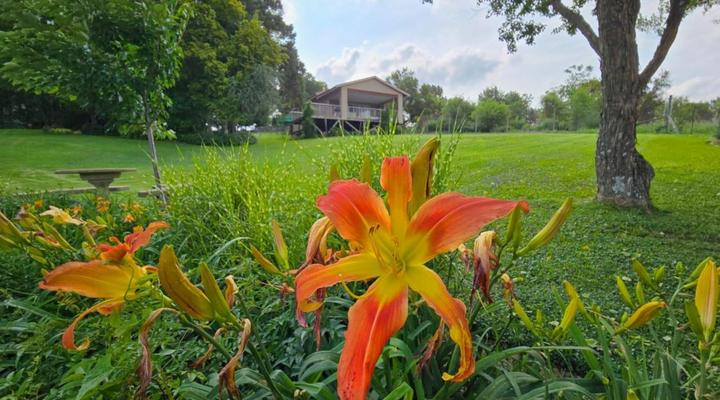 Hills and Dales Accommodation CC