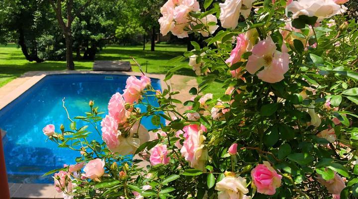 Hills and Dales Accommodation CC