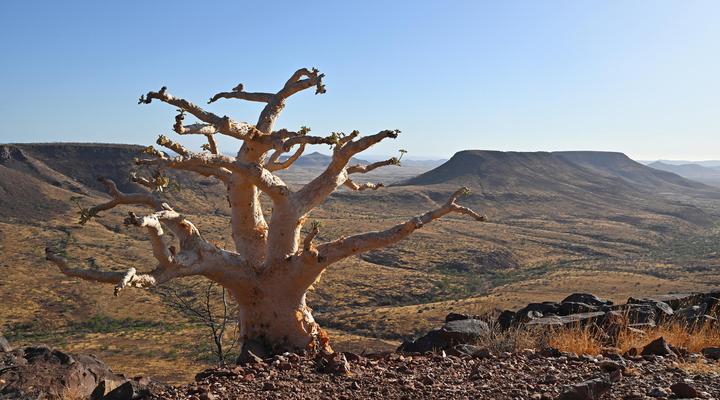 Etendeka Mountain Camp