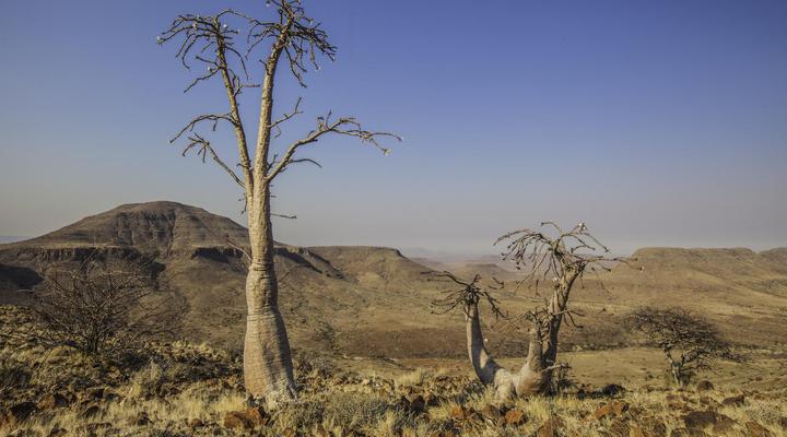 Etendeka Mountain Camp
