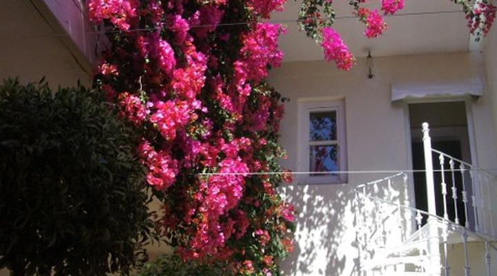 Stonehurst Guest House in Sea Point, Capetown