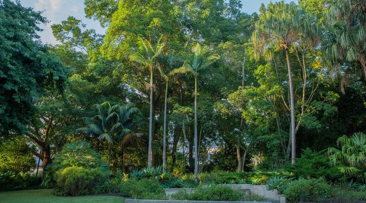 Tehillah Guest House