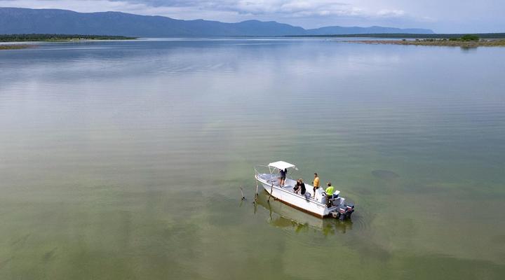 AfriCamps at White Elephant Safaris