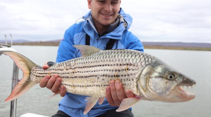 AfriCamps at White Elephant Safaris