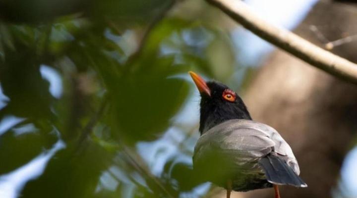 AfriCamps Hoedspruit